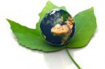 Sustainable Education