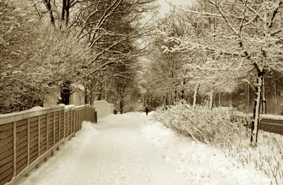 winter-blues Winter Blues