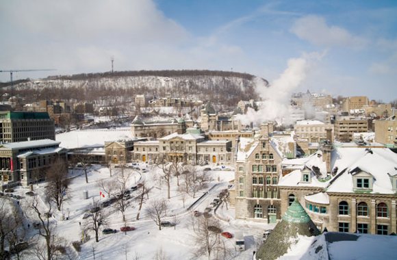 McGill University