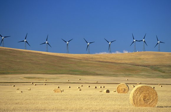 Green Programs