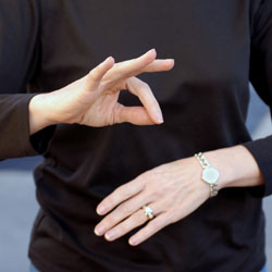 Career Sign Language